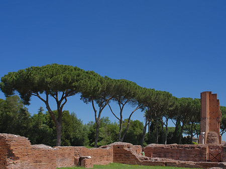 Ruinen am Apollo Tempel - Latium (Rom) (Rom)