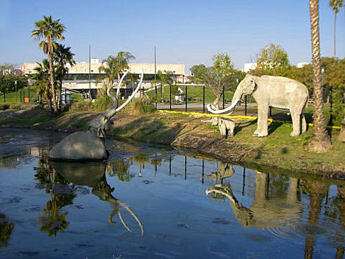 Foto La Brea Tar Pits